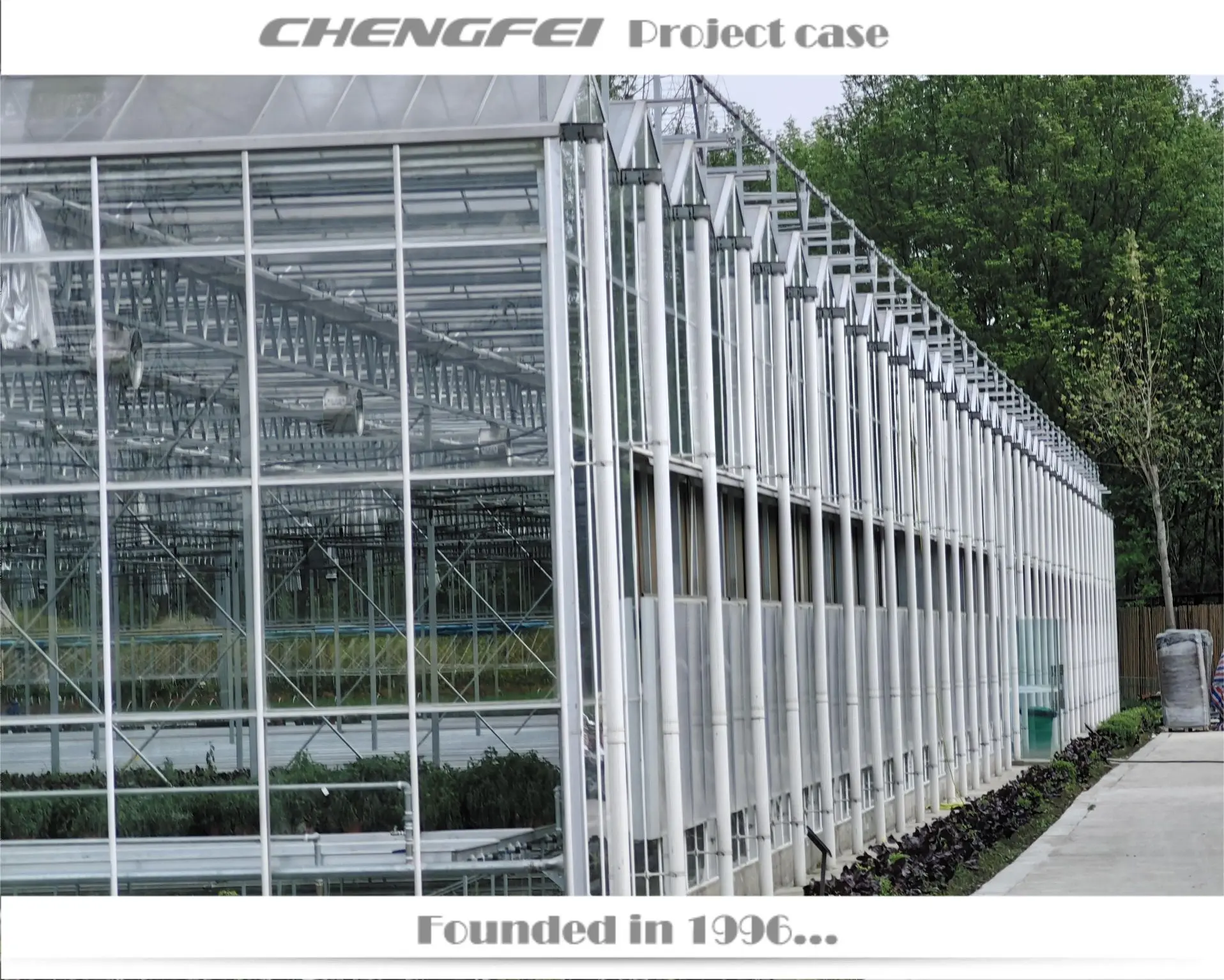 Multi-span agricultural venlo large flower vegetable glass agricultural greenhouse Frame supplier for sale