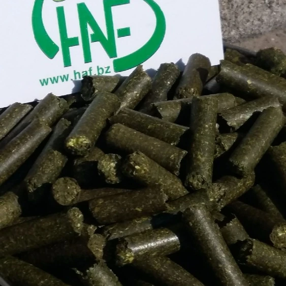 
Supplier of Alfalfa Hay Pellets 