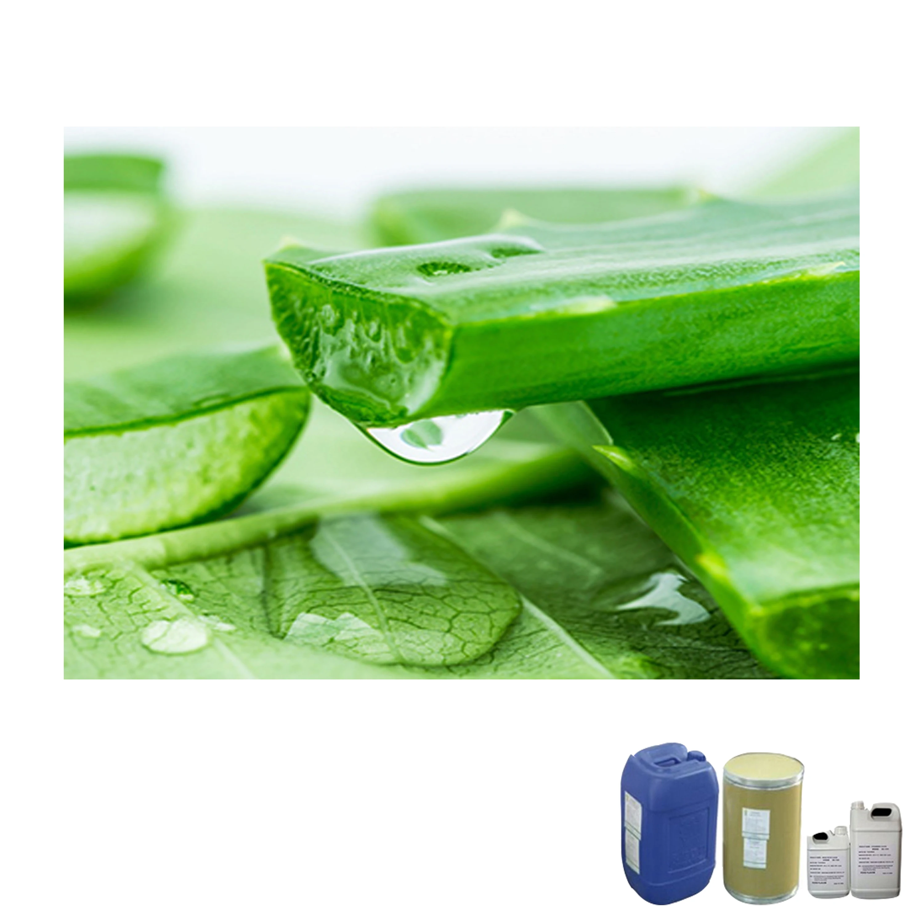 FOOD ADDITIVES/FLAVOR/ESSENCE/ALOE VERA FLAVOR