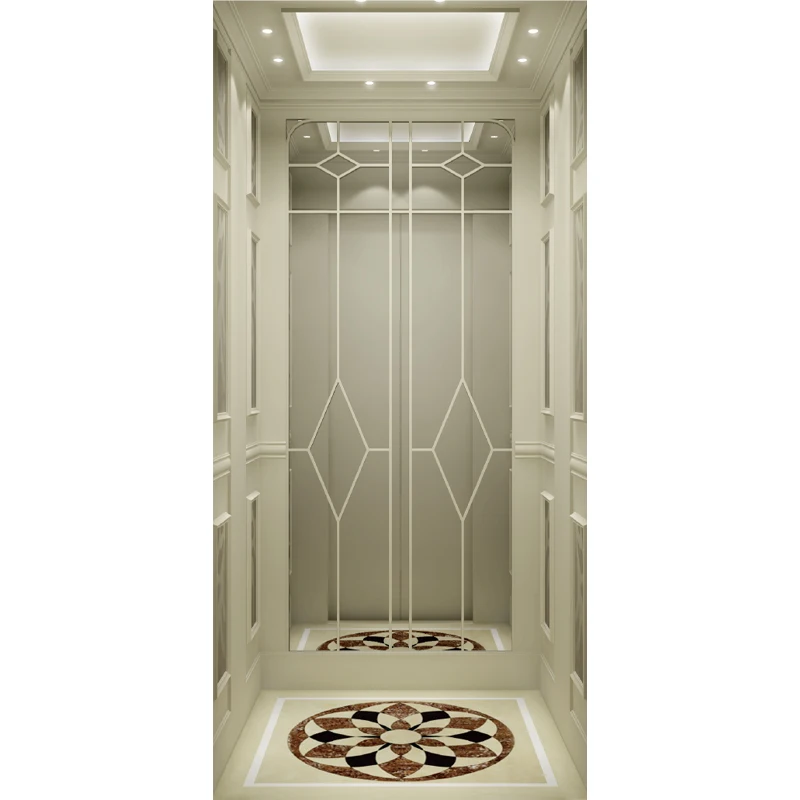 8 Persons Modern Building Luxury Decoration Villa Elevator
