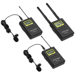 Hot Sell Wireless Microphone of Camera Microphone Camcorder Dual-channel DSLR Outdoor Wireless Microphone recharged CM10 W