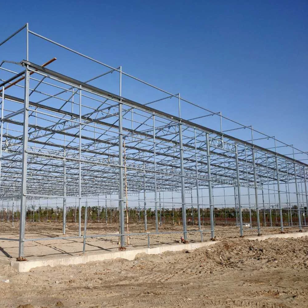 
Multi-span Venlo Glass Solar Greenhouse for Flower Vegetable Fruits Planting 