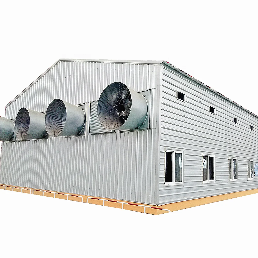 Qingdao Xinguangzheng низкая цена стальная конструкция птицеферма куриный дом дизайн для