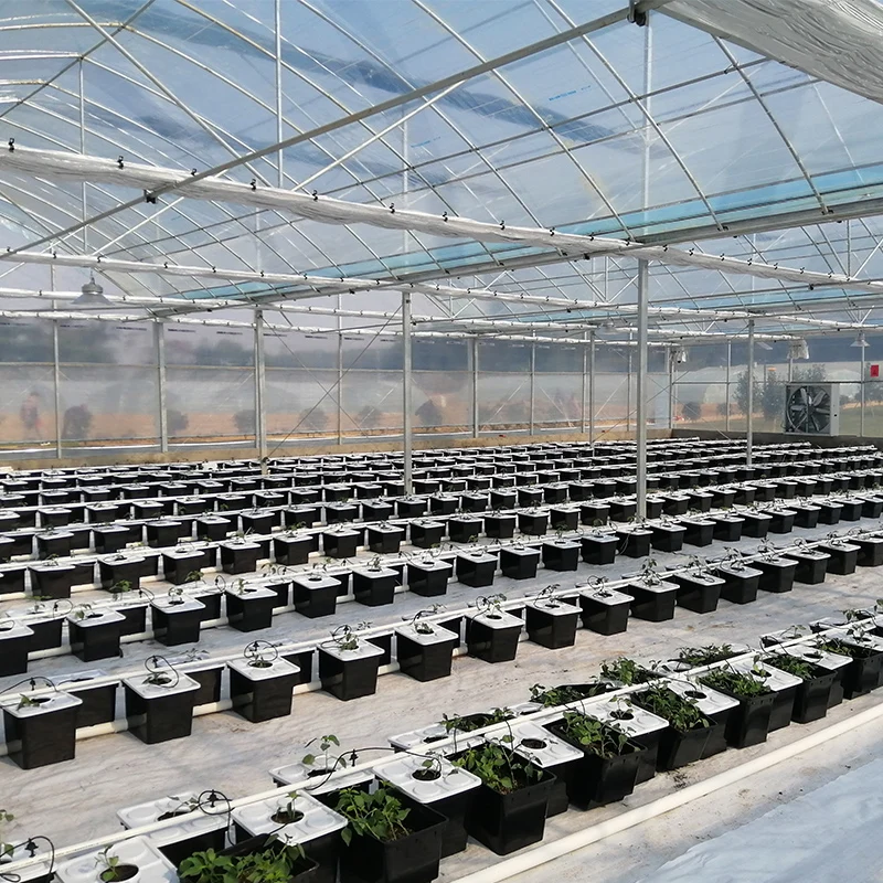 Grow High Quality Greenhouse Commercial Modern Complete Aquaponics Aeroponics Dutch Bucket System