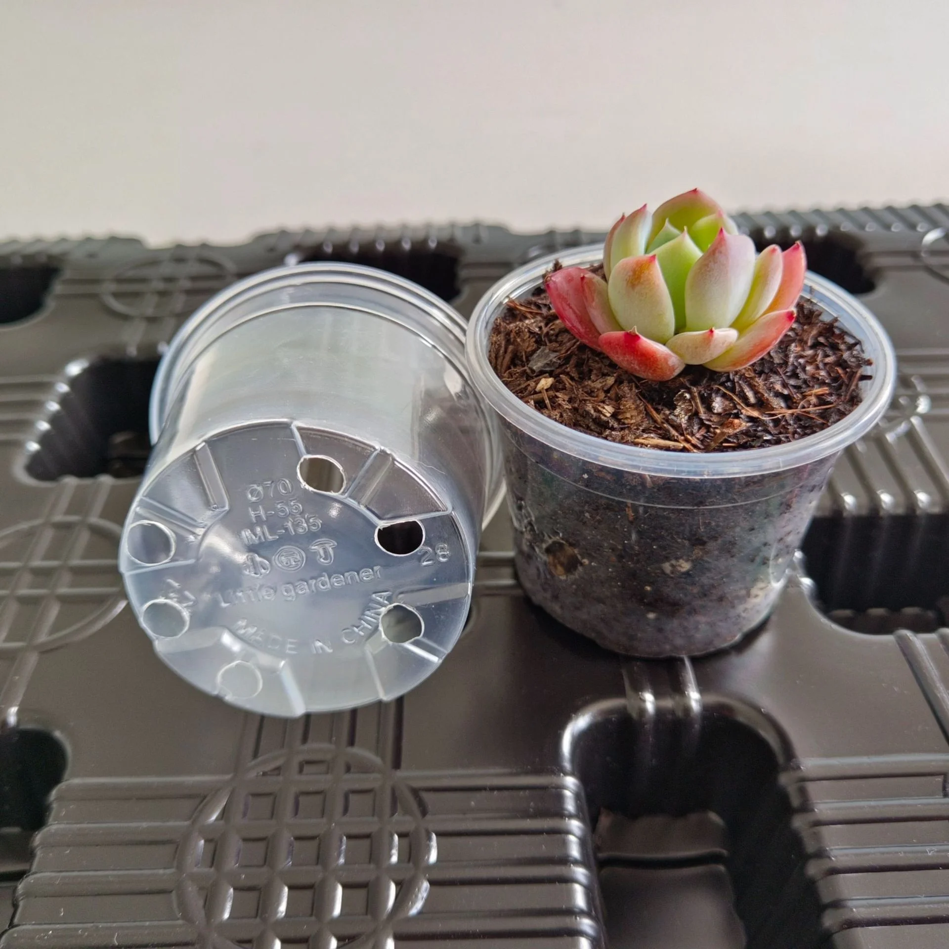Clear Nursery Pots with Drainage Holes Plant Pot for Planting Transparent Plastic Seed Starting Pot for Succulents