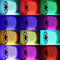 220 Высокое напряжение Влагоустойчивая Светодиодная лампа дневного света RGB SMD 5050 лента Водонепроницаемый пульт дистанционного управления rgbw светодиодная
