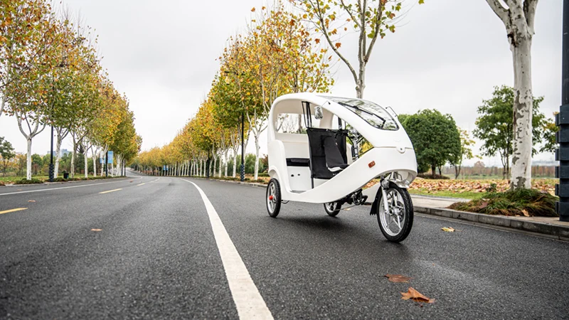 Трехколесный мотоцикл с большим количеством пассажиров 1000 Вт Velo Taxi электрический Pedicab