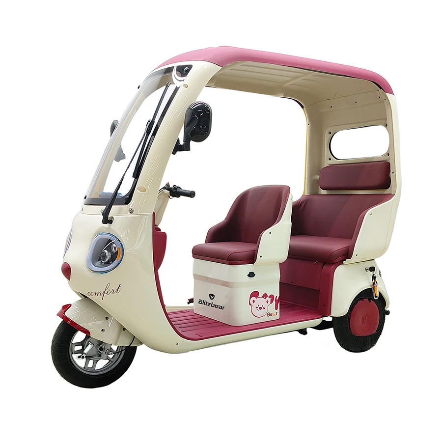 Электрический трехколесный велосипед для взрослых/грузовой рикша с 3 колесами