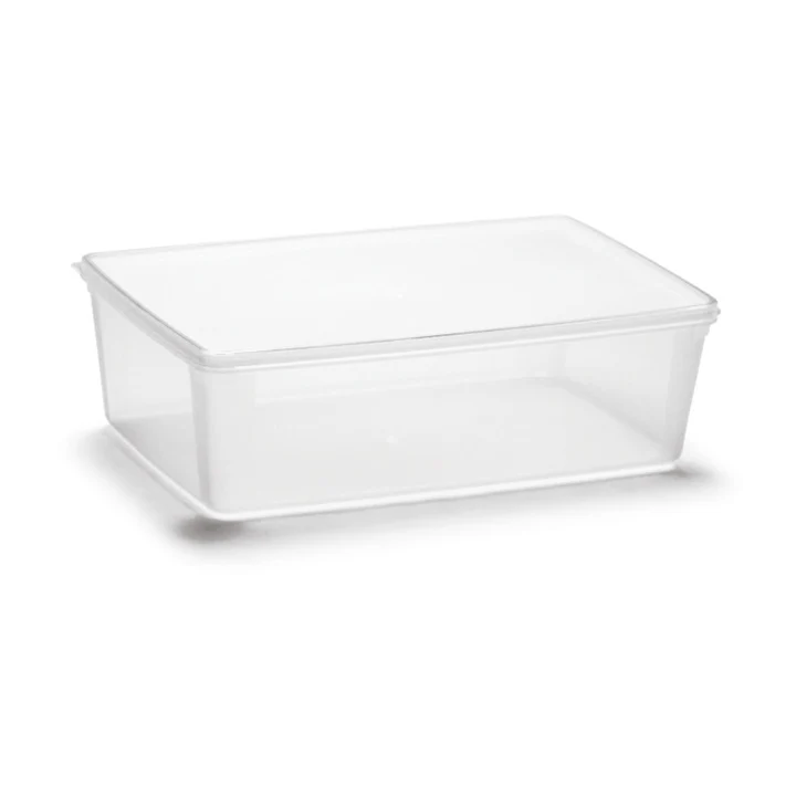 Plastic Container Cheap Thin Plastic Rectangular Storage Container 8.3L PP Food Storage Box