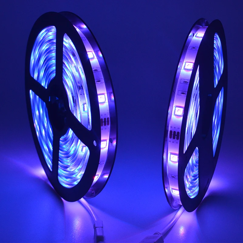 High Quality 12V SMD 5050 RGB APP and Remote Control 5M 10M Landscape Waterproof Smart Luces LED Tape Strip Light