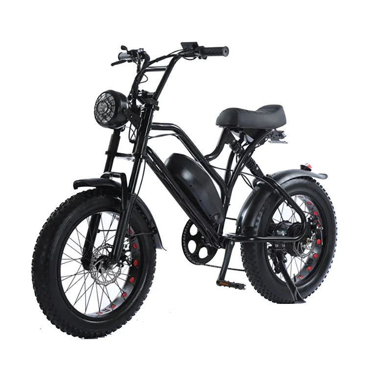 High Carbon Steel Electric Bike with 7-Speed 48v 10Ah Tube Lithium Battery 500w Rear Hub Motor Disc Brake Derailleur