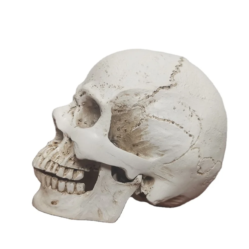 Creative Decoration Skull Head ornament Halloween holiday party decor scare large skull head accessories