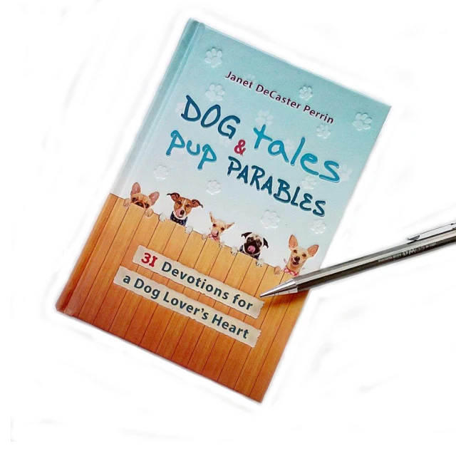 Custom Offset Printing Recycled Children School Educational Photo Book Coloring Story Book