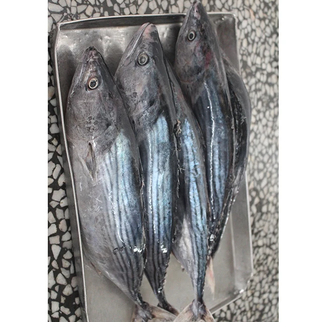 Замороженные сардины, тунец, 500-1000 г