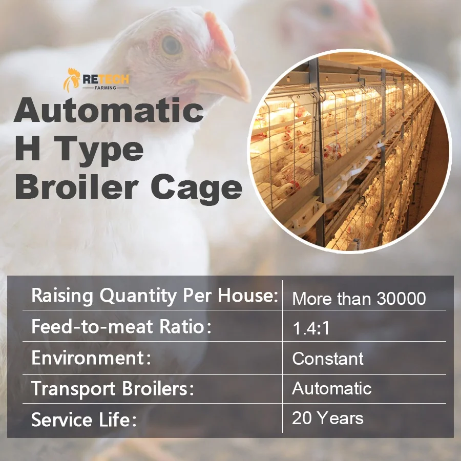Hot Selling Fully Automated Broiler Battery Chicken Cage System for poultry farm