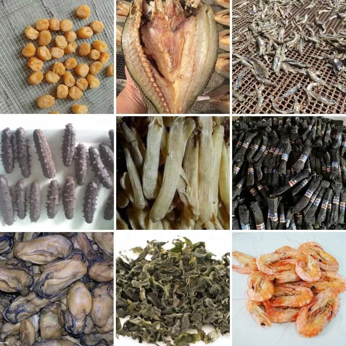 600Kg Sausage Meat Fish Shrimp Tray Cabinet Dryer Seafood Heat Pump Oven Dehydrator