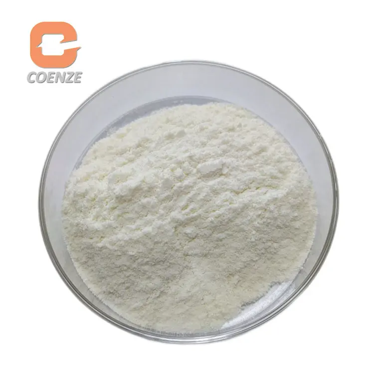 Food Grade Chymosin Enzyme Rennet 2000IMCU/G Chymosin For Cheese