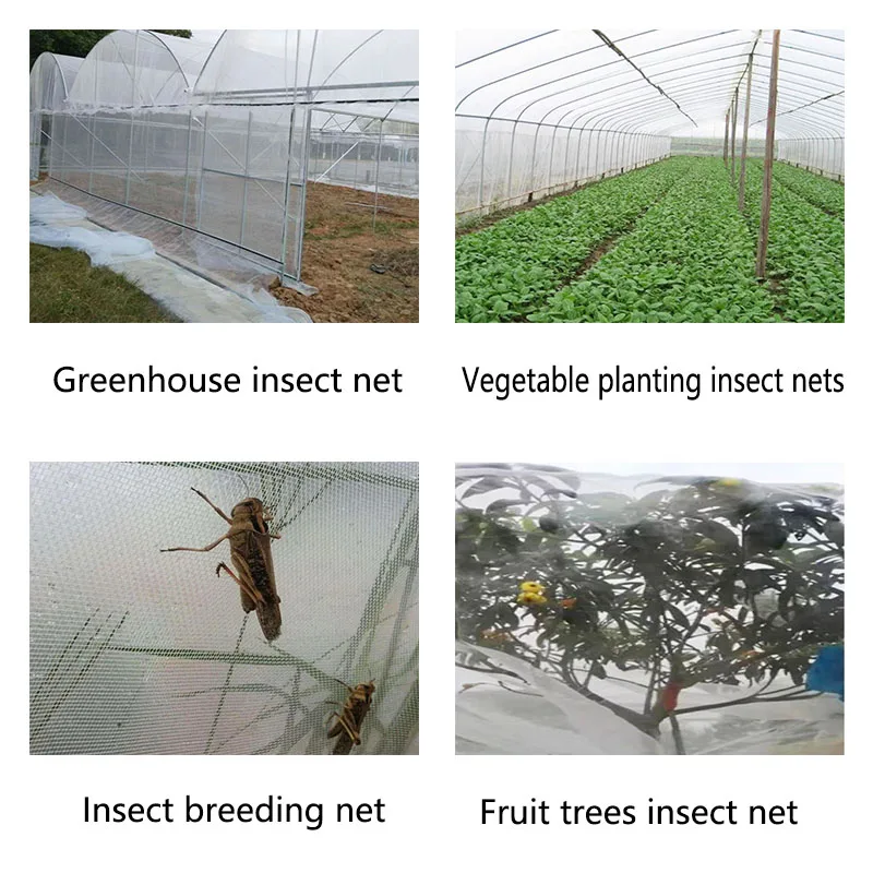 Insect Net Agriculture Net Mesh Greenhouse Insect Net For Vegetable Gardens