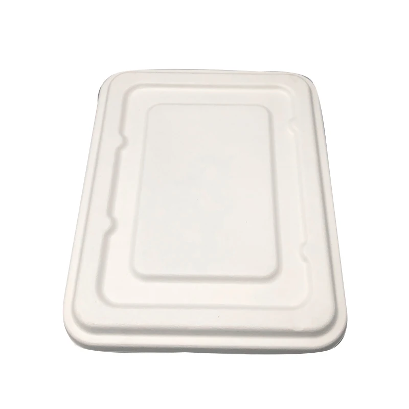 Kingwin 600ML Biodegradable Disposable Food Container Sugarcane Bagasse Packing Box Eco friendly Tableware Take Away Container