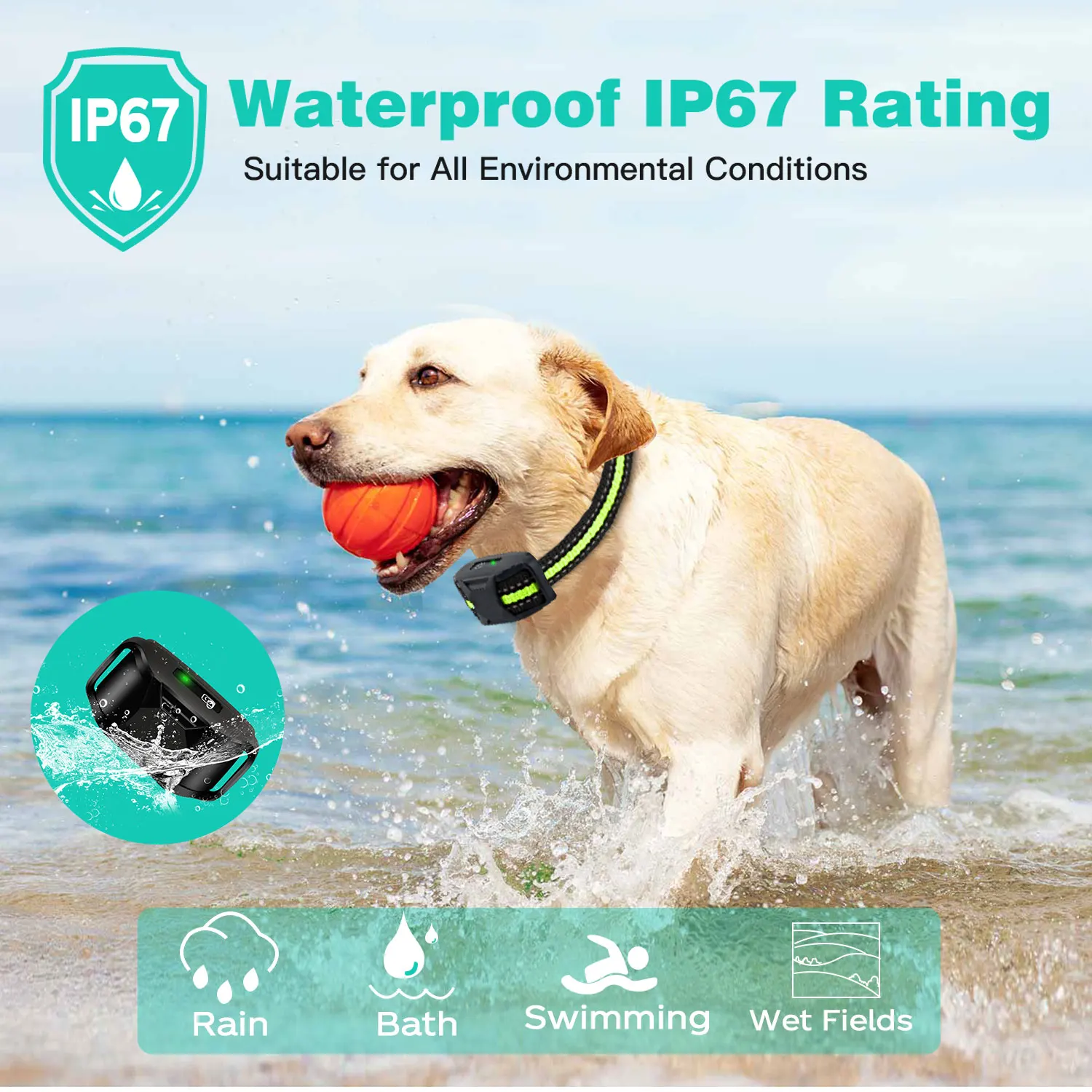 2024 Online Hot Rechargeable Waterproof Shock E-Collar with 3608Ft Remote for All Breeds, Factory Wholesale