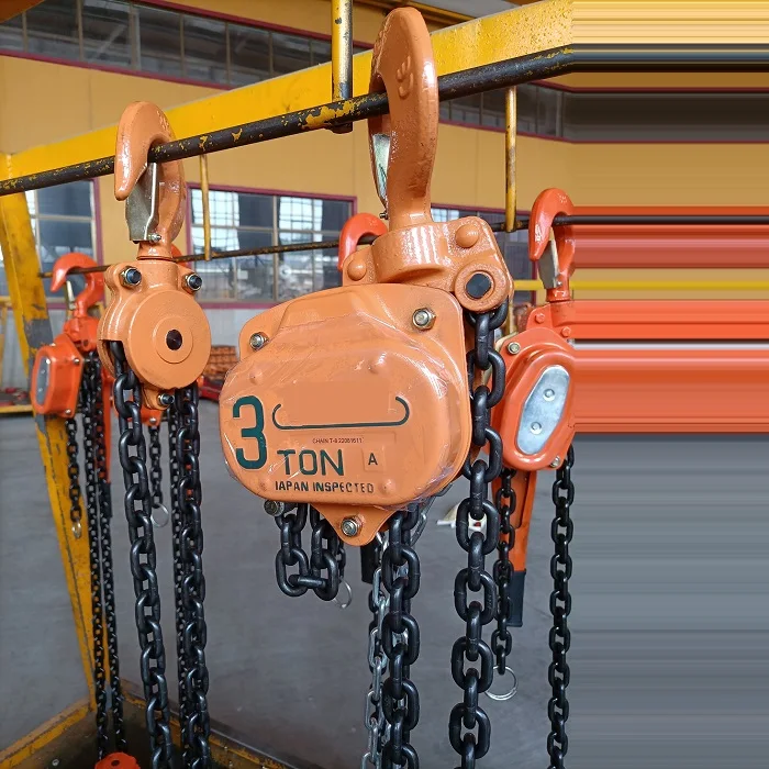 3-10 Ton 3m 5m 15m 20m Chain Block Price | in China Manual Hoist