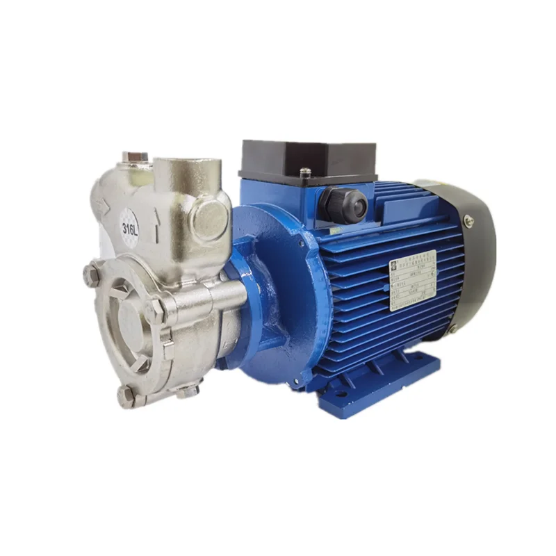 316L anti-corrosion micro bubble pumps for aquaculture and water treatment ozonizer machine ozone generator salt water