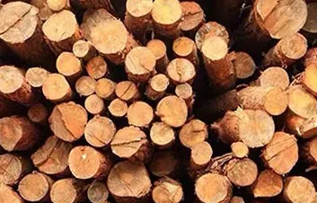 sawdust making machine wood shredder machine wood chipper shredder for wood pellet