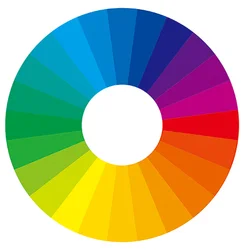 4 piece plastic shell hook elastic rope bungee cord set in plastic tube