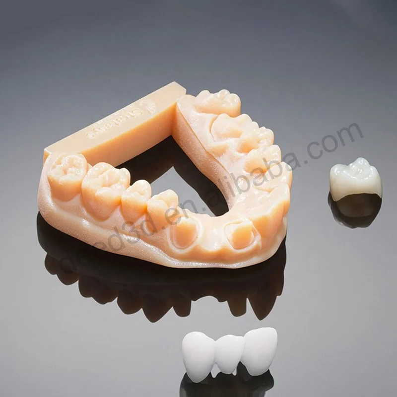 Custom Silicon Resin Mold Rapid Prototype Custom 3D Print Oral Teeth Dental Model 3d Printing Supplier
