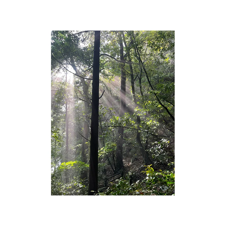 Custom alcoholic drink beverages to emphasize its authenticity deliciousness