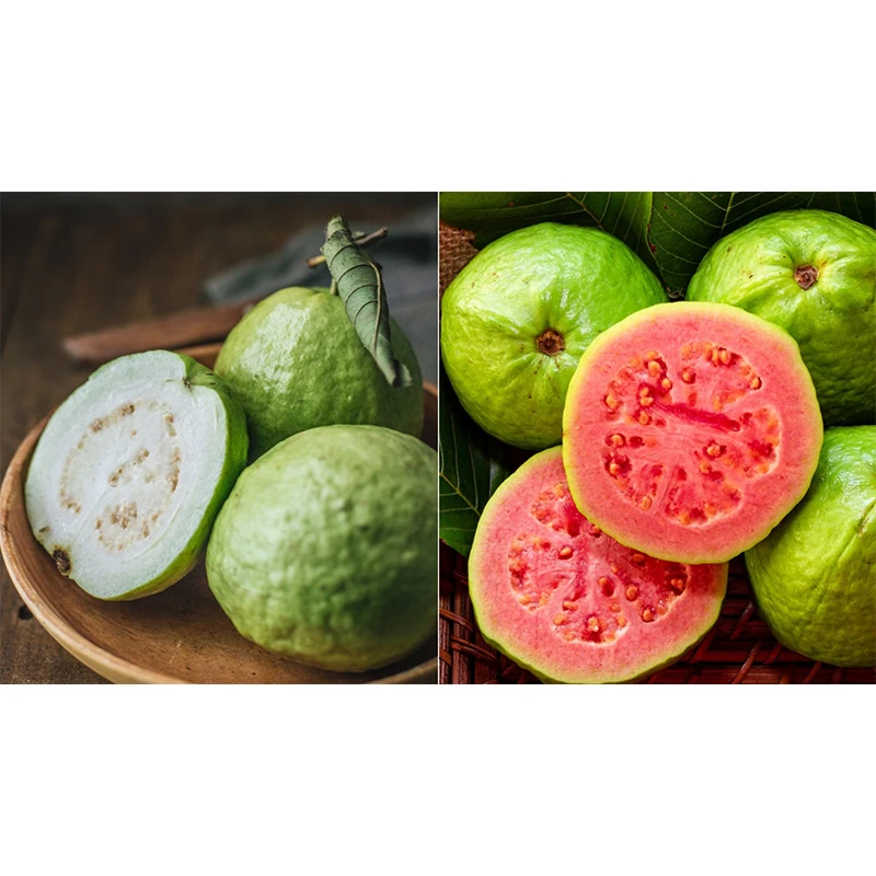 Хороший экзотический вкус свежий Feijoa Guava Steen