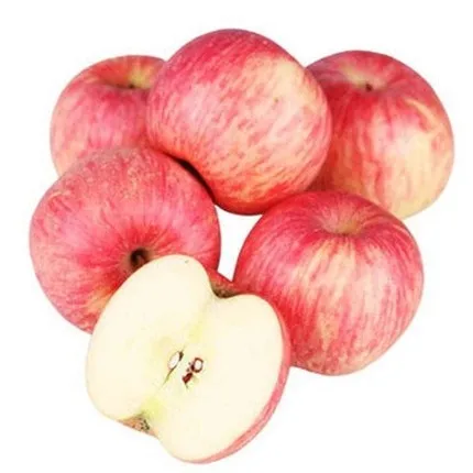 Chinese Factory Fresh Fuji Apple Gala Shandong Yantai Red Apple