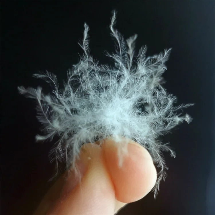 
Wholesale 80% Good Filling Power White Duck Down Material for Pillow Japanese Standard 