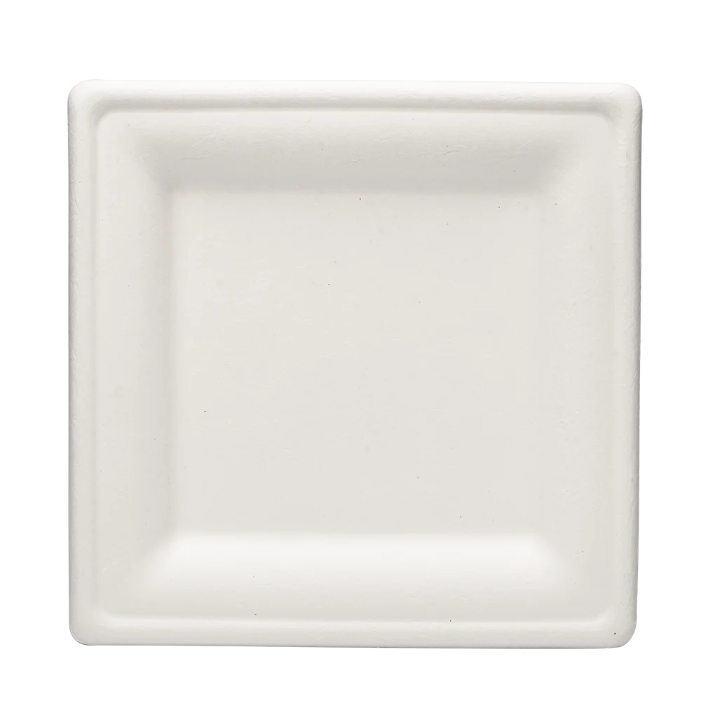 White environmentally friendly 8 inch disposable bagasse paper plate square bagasse plate for party
