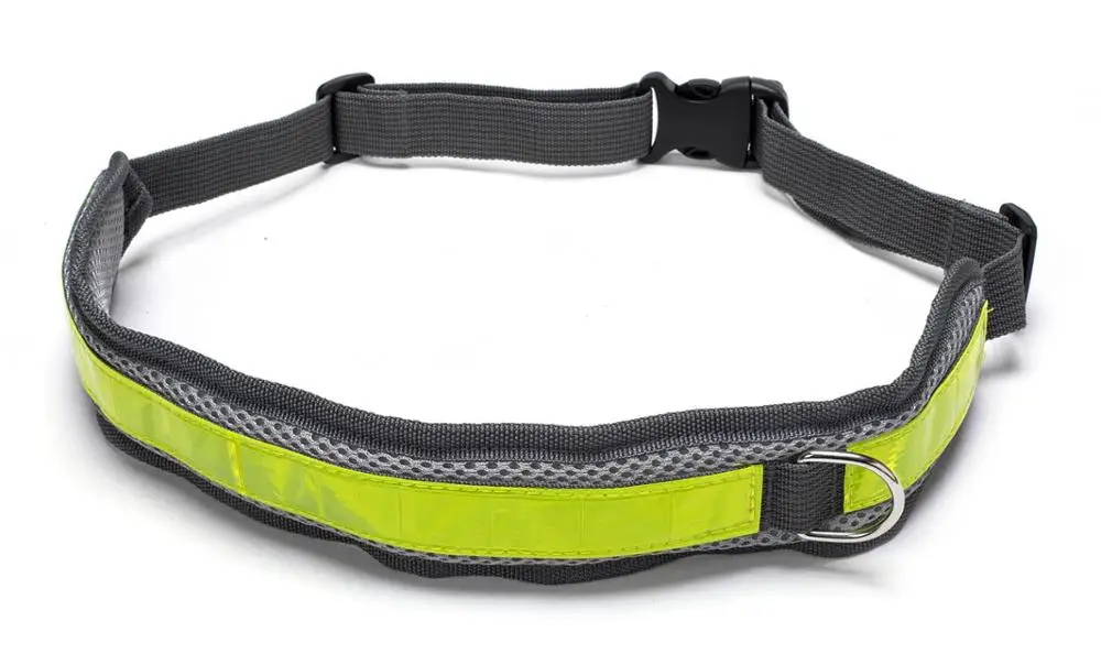 TAILUP Hands Free Dog Training Leash Walker Lead Set For Walking Hiking Running