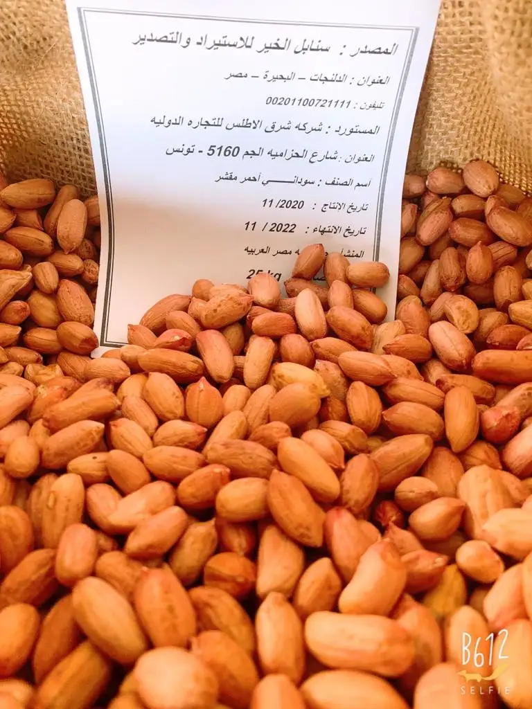 Organic Nutritious Red Skin Peanut Egypt Origin Top Grade Peanut Kernel Rich Protein