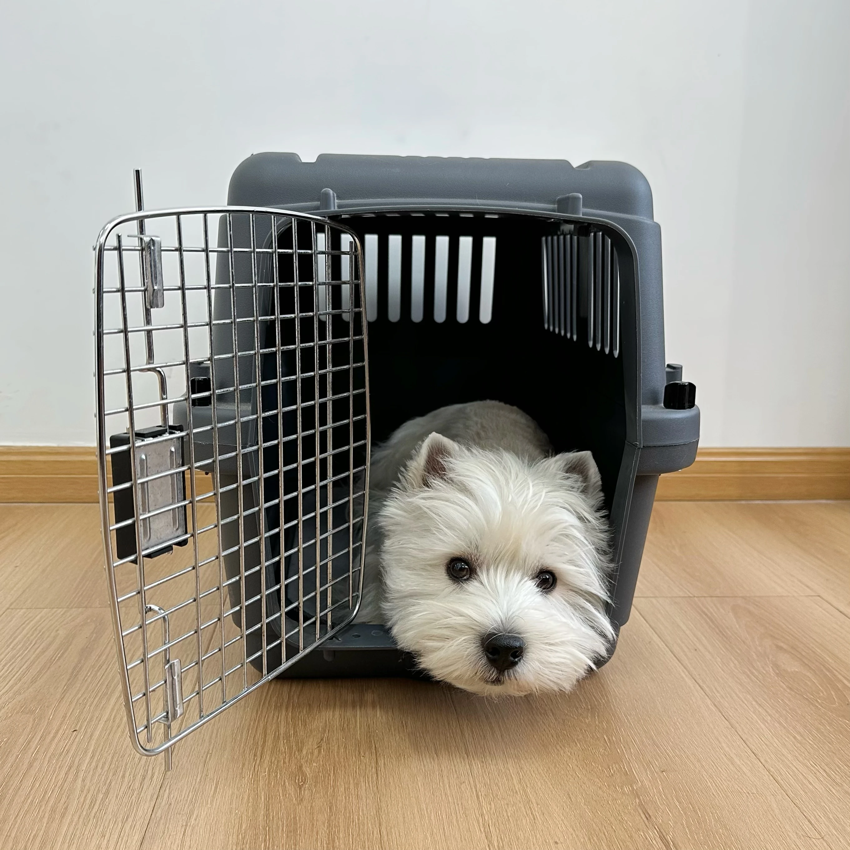 Pet Transport Bag Breathable Dog Cat Carrier Bag Case Big Space Airline Approved Car Portable Carrying Travel Puppy Cage Box