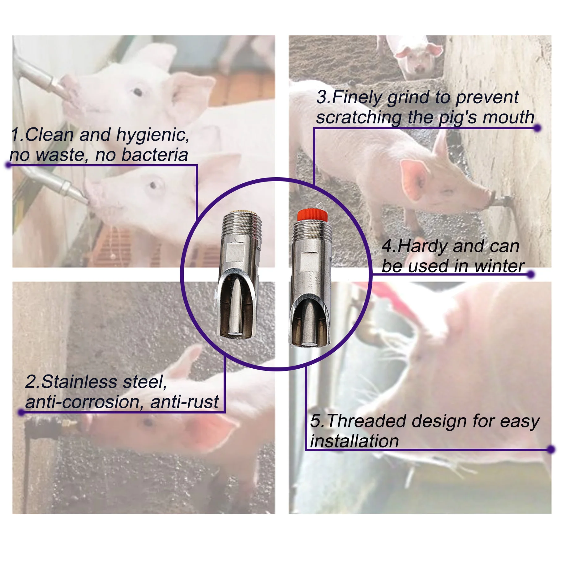 Design for pig farm Automatic Drinker For Pig