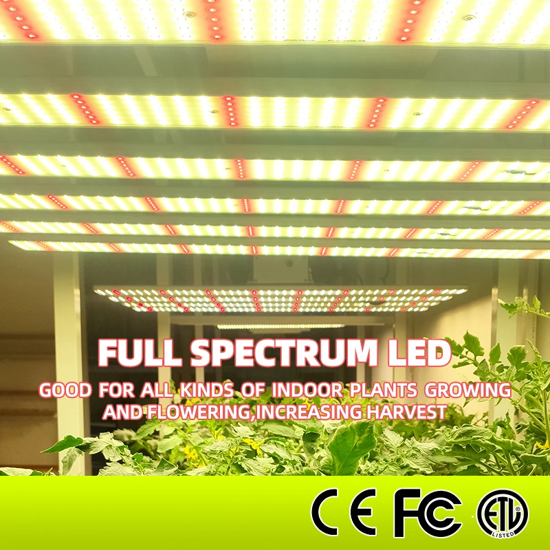 2ft 4ft lm301b lm301h indoor led grow lighting commercial growing full spectrum led grow light for Medical Farm