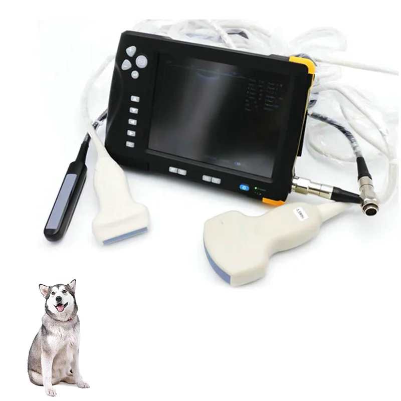 China Manufacturer Exceptional Factory Direct Price Custom Portable Ultrasound Machine Veterinary Ultrasound