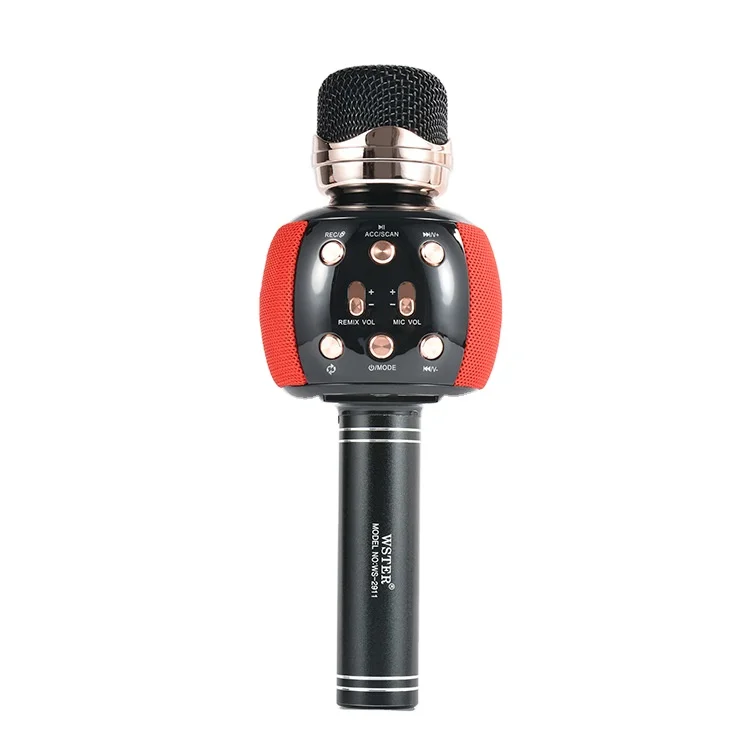 Oem Portable  Ws2911 Support Usb Tf Card Fm Radio With Disco Light Recording Wireless Mic Microphone Player Speaker