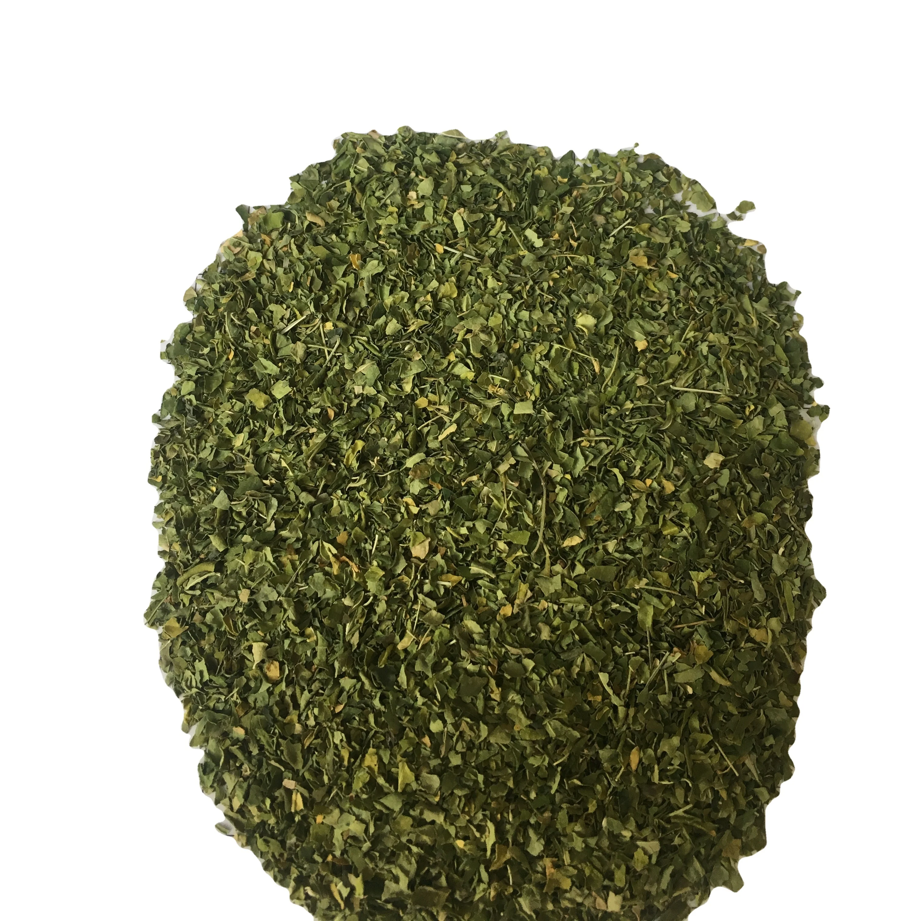 Moringa leaves green color no ash content no admixture no dark leaves  no impurities  fresh crops Moringa oleifera