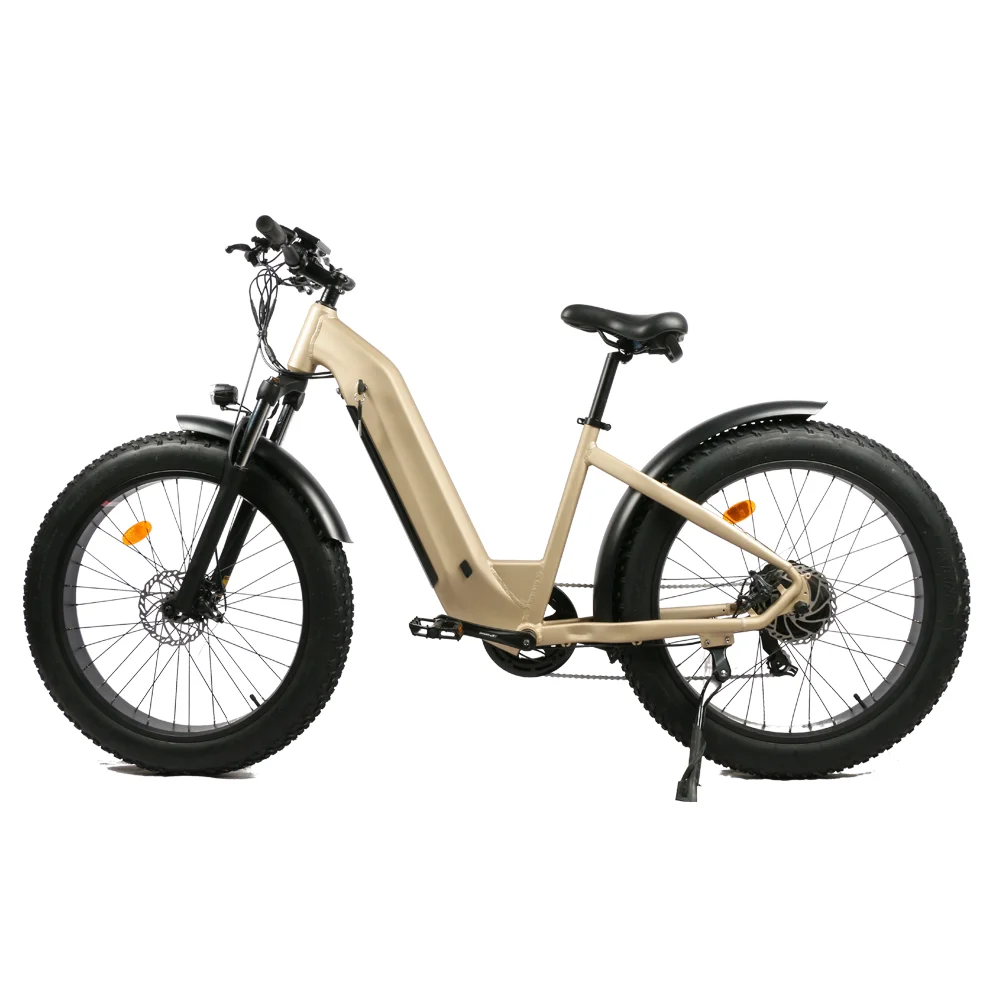 Emtb Retro Electric Hybrid Bike 750w E-Bike Road Dirt E Bike 48V Step Through Ebike Mountain  Off-road Fat Tire 1000w Ebike