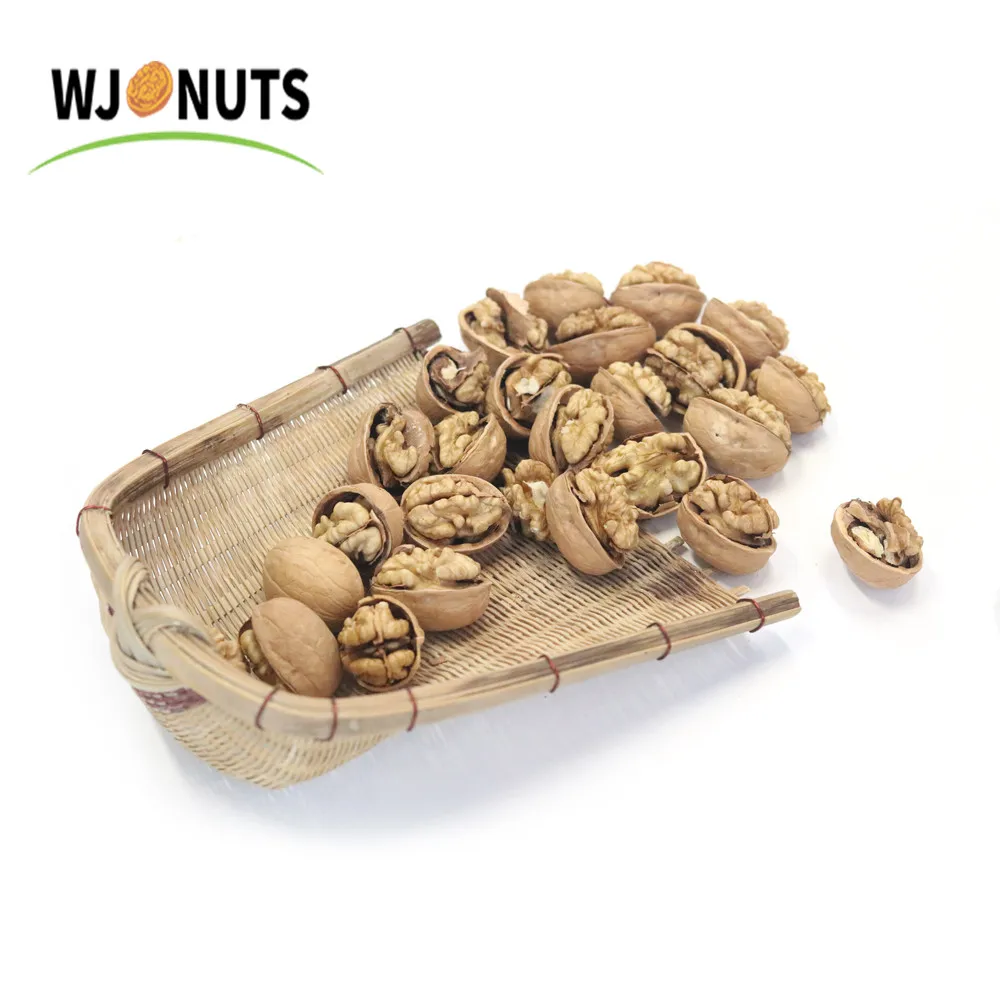 Hot Selling Xinjiang Organic Fresh Walnut Supplier
