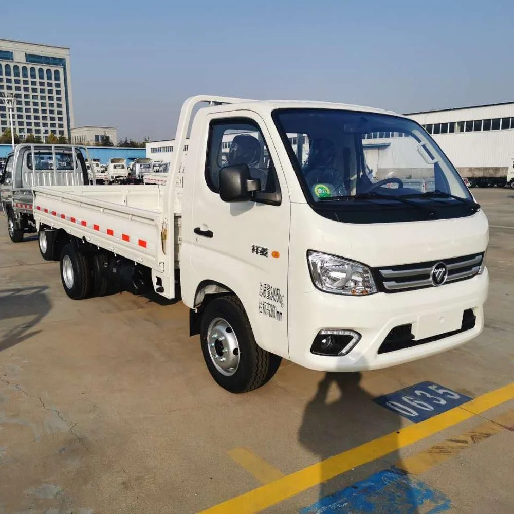 
POPULAR FOTON TM 1.5tons cargo truck with 1500cc gasoline engine and double rear tire 
