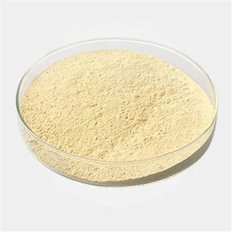 CAS 11138-66-2 china manufacturer food grade powder thickener xanthan gum