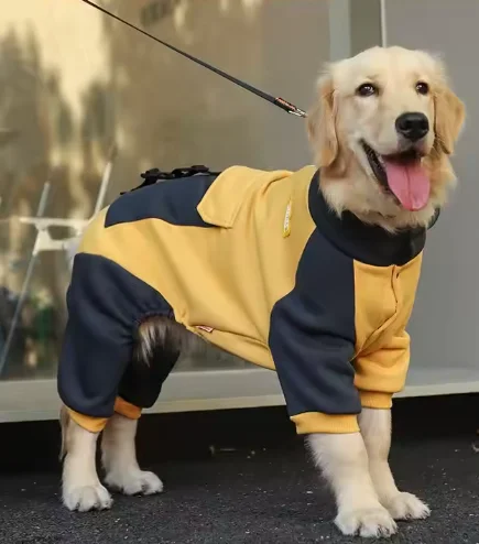 Original Design Dog Clothes Autumn Winter Large Dogs Fashion Warm Four-Legged Hoodie