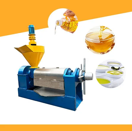 6YL-85 Most Popular Screw Oil Press for Seed Oil Extraction Cold Press from Plant Coconut Other Seeds
