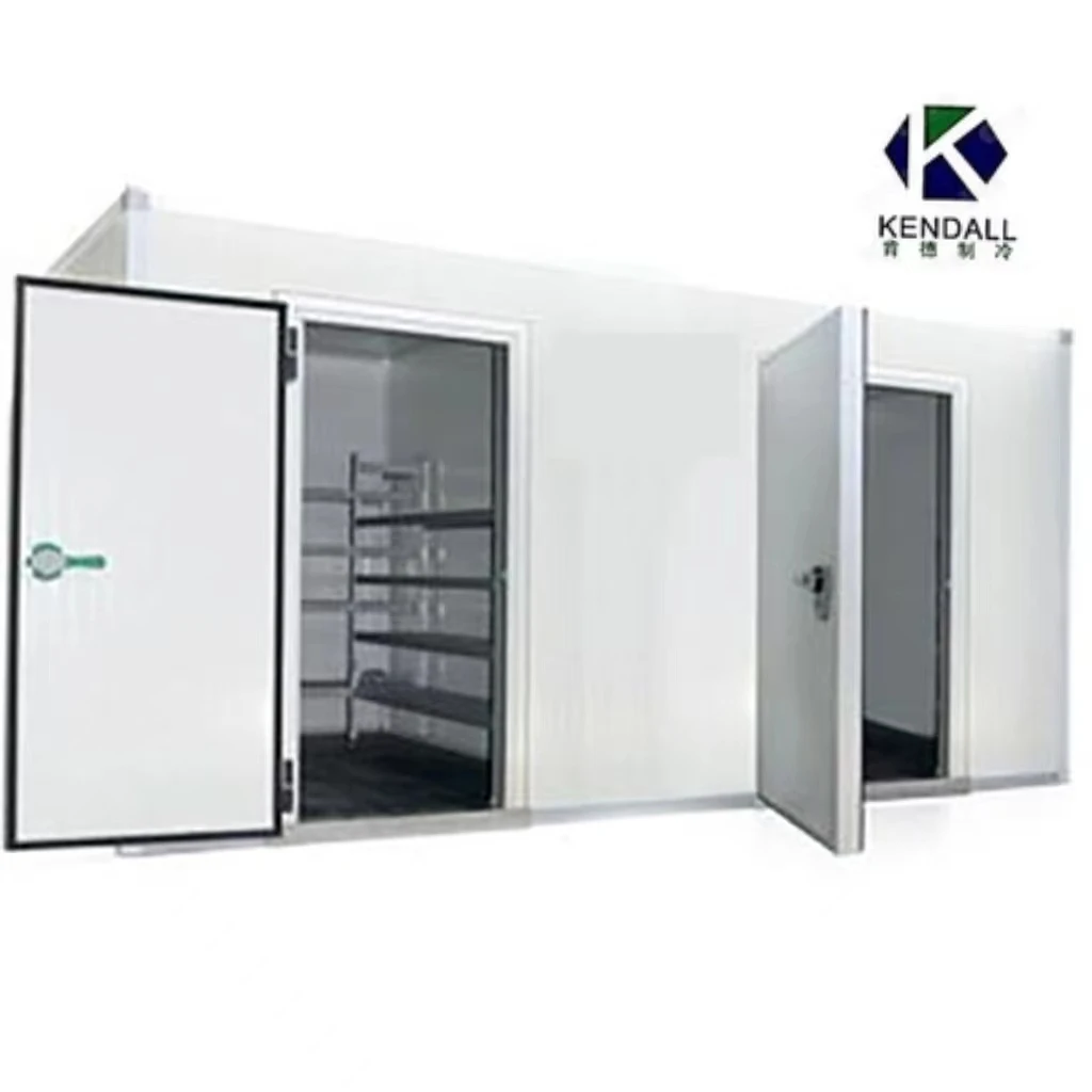 Hot Selling Low Temperature Modular Cooler Blast Freezer Room for Cucumber Tomato or Other Vegetables