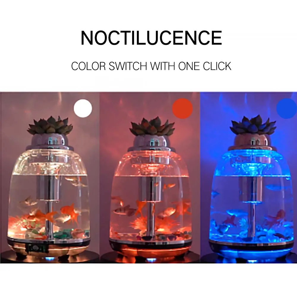 Supplies Mini Table Top Home Ecological Filter Landscaping Aquarium Aquaponics System For Fish And Vegetable Goldfish Tank